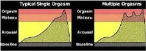 Diagrama de Ejaculação