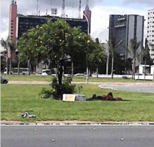 Casal Brasilia
